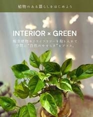 インテリア×グリーン──植物のある暮らしをはじめよう